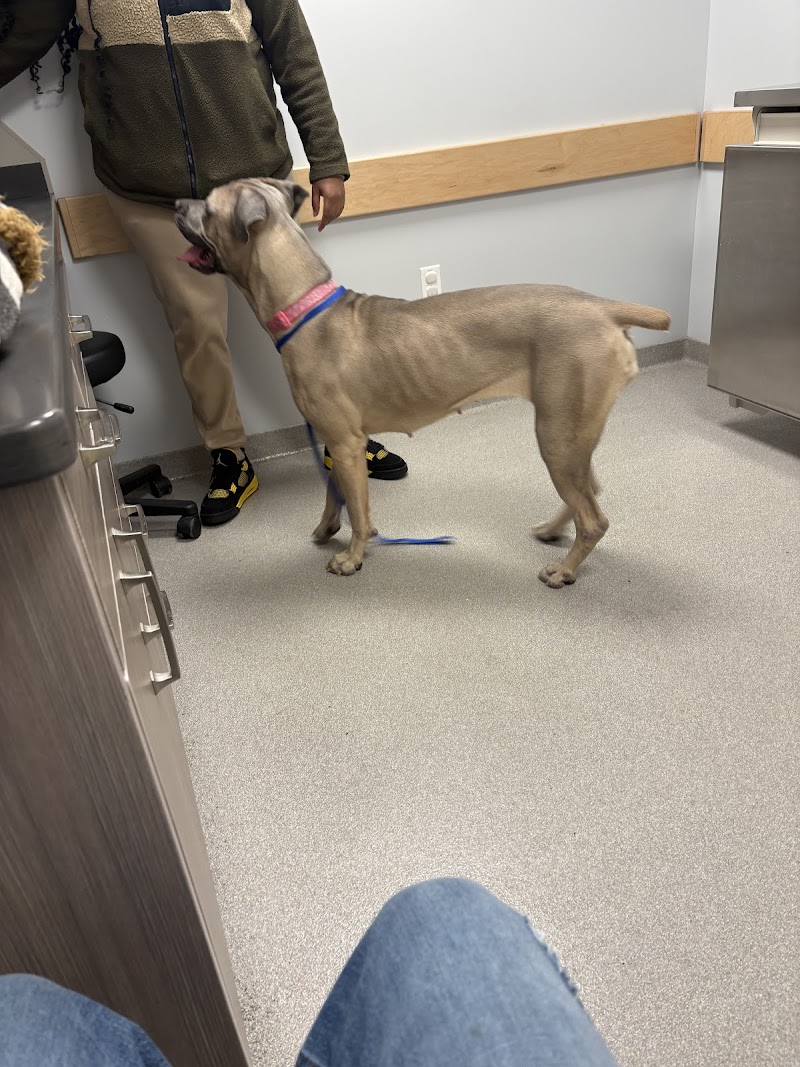 Veterinary Emergency & Specialty Hospital (VESH)