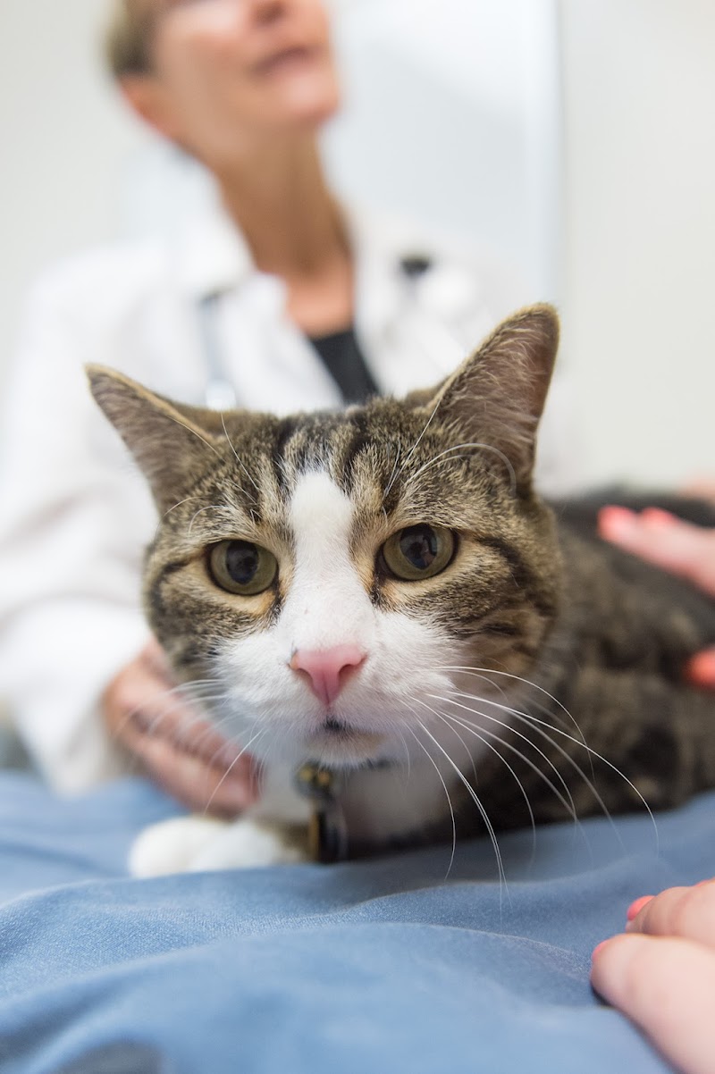 Colorado State University Veterinary Teaching Hospital