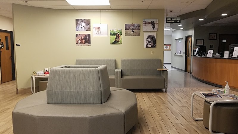 Colorado State University Veterinary Teaching Hospital