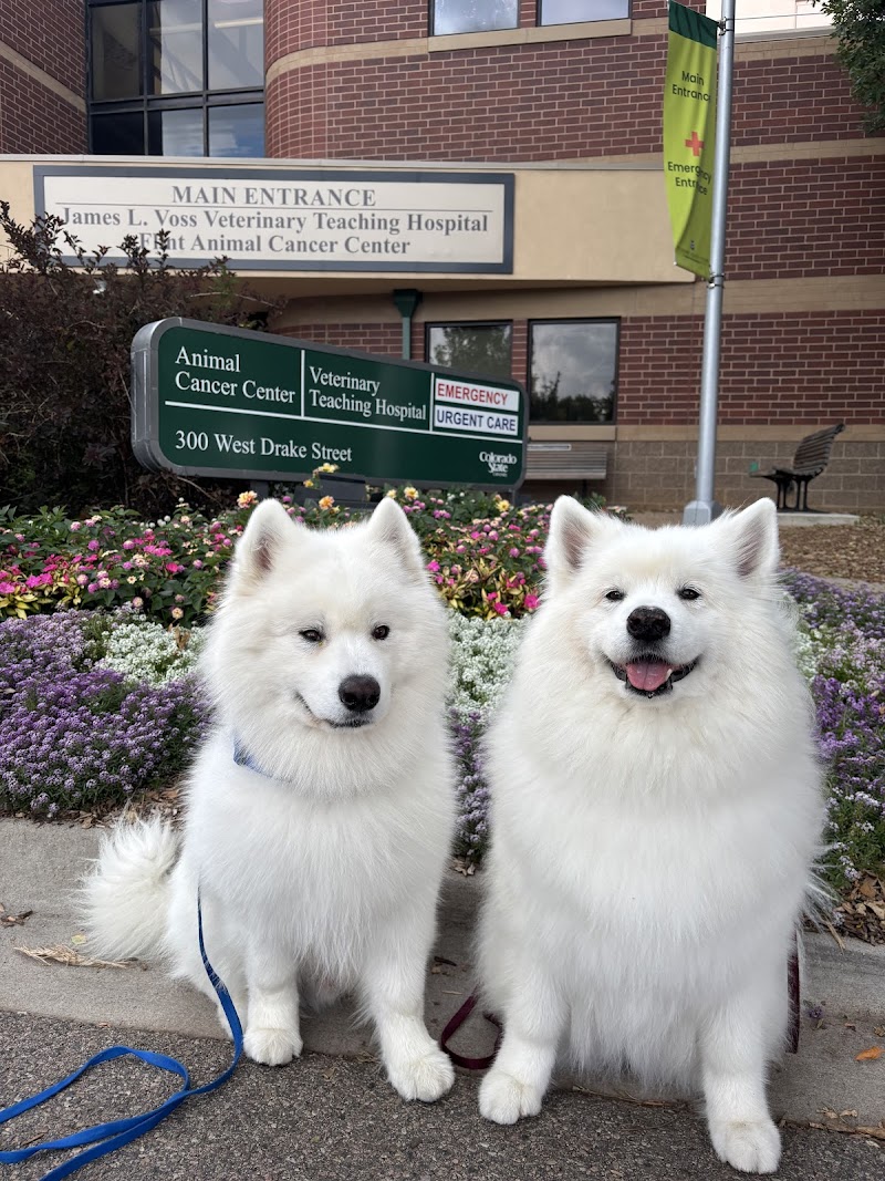 Colorado State University Veterinary Teaching Hospital