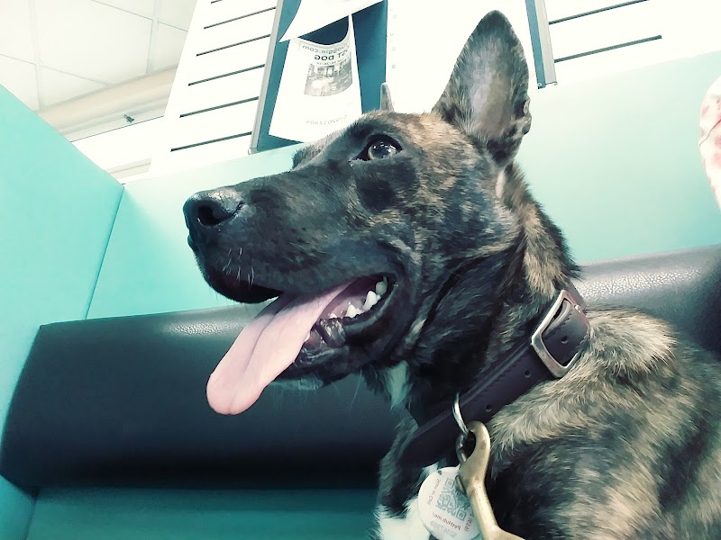 VCA Hillcrest Animal Hospital