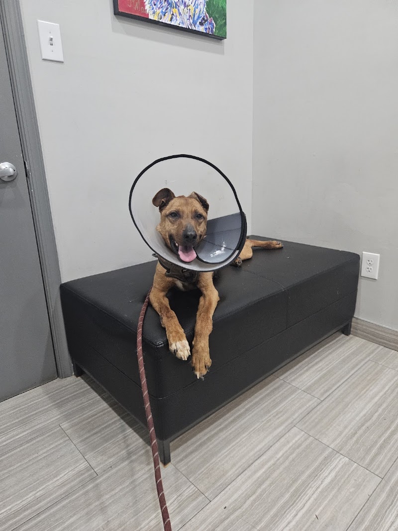 Wissahickon Creek Veterinary Hospital - Philadelphia