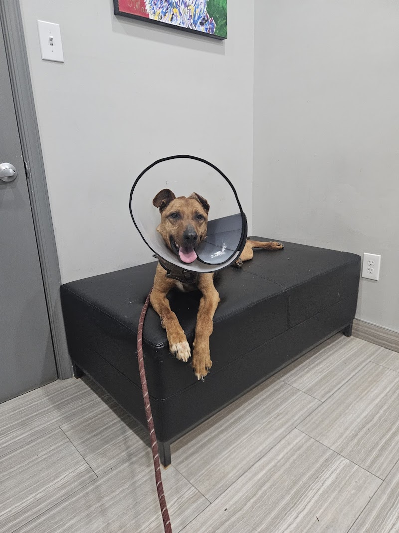 Wissahickon Creek Veterinary Hospital