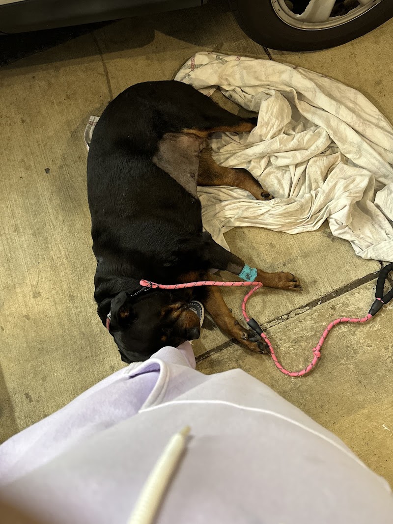 Wissahickon Creek Veterinary Hospital
