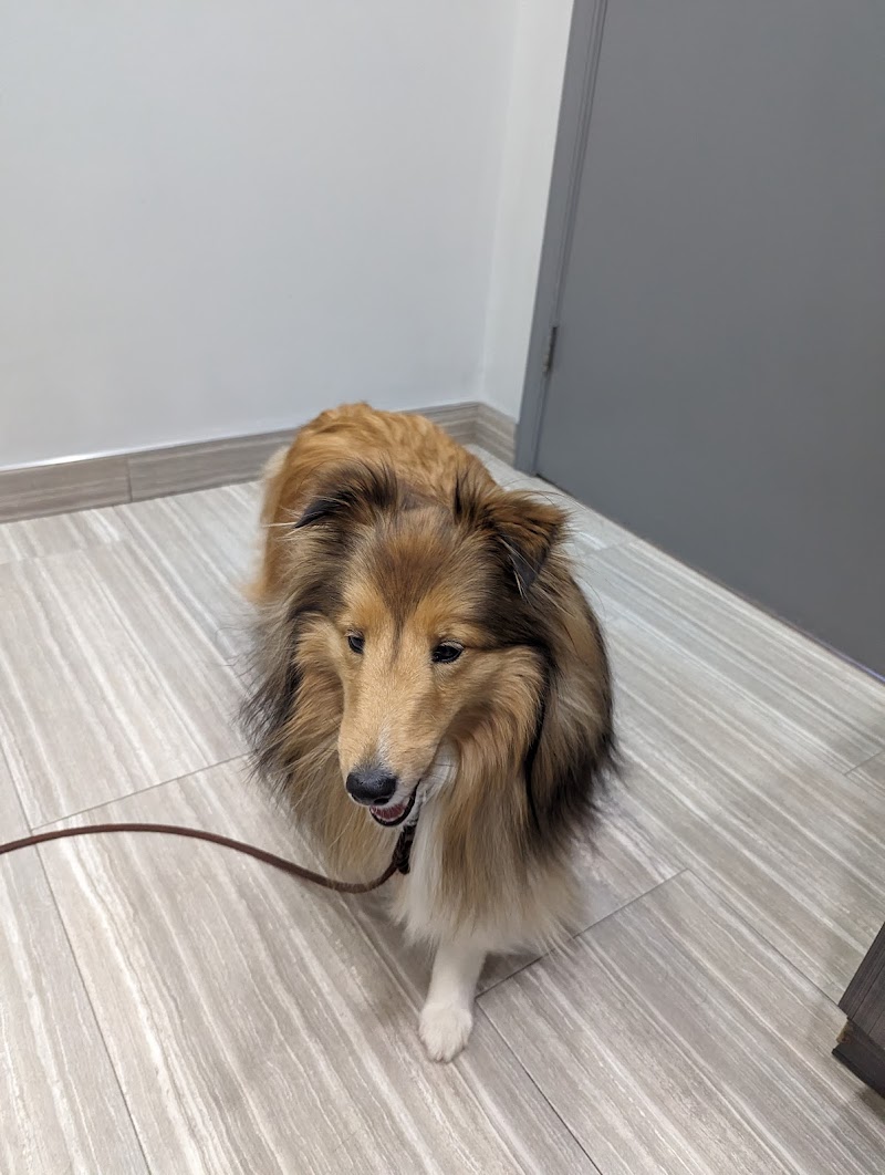 Wissahickon Creek Veterinary Hospital