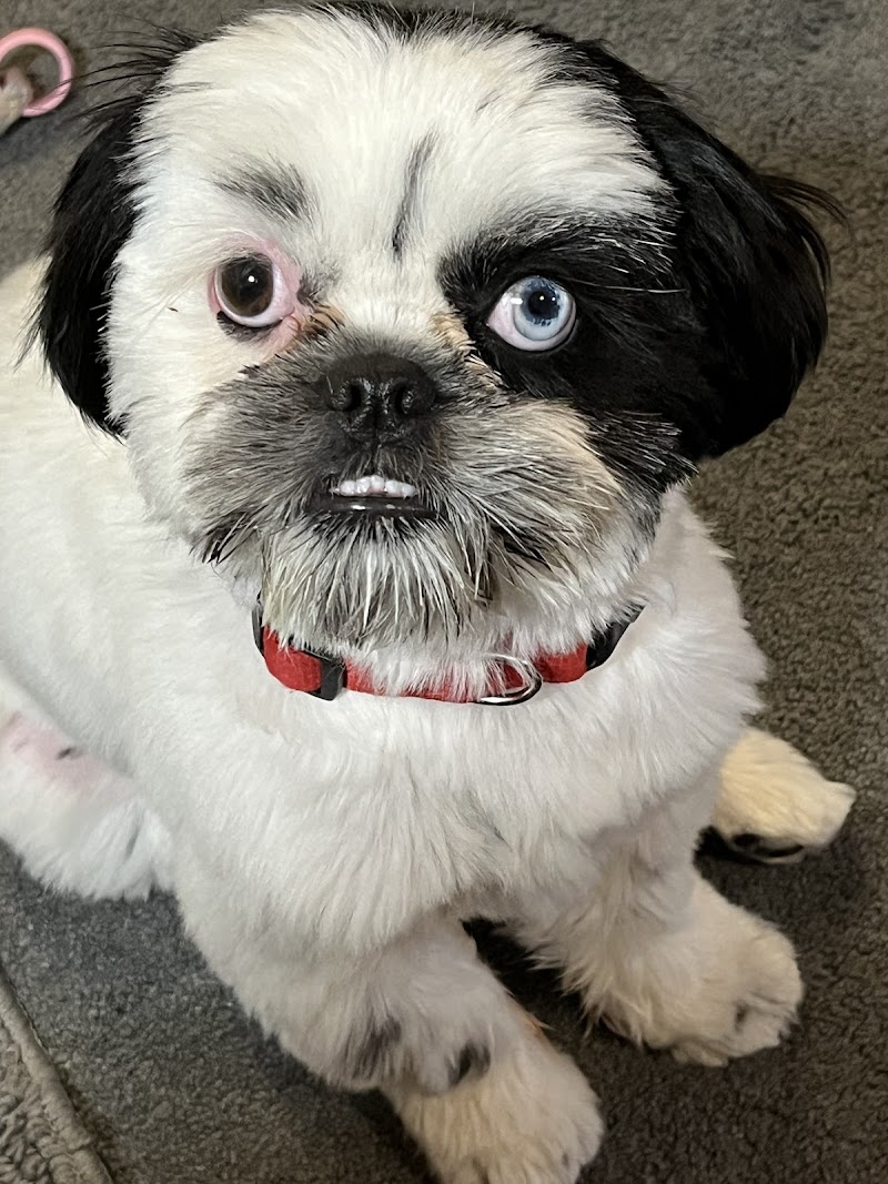 Evergreen Veterinary Clinic