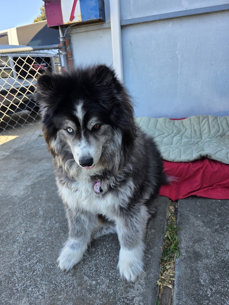 Evergreen Veterinary Clinic
