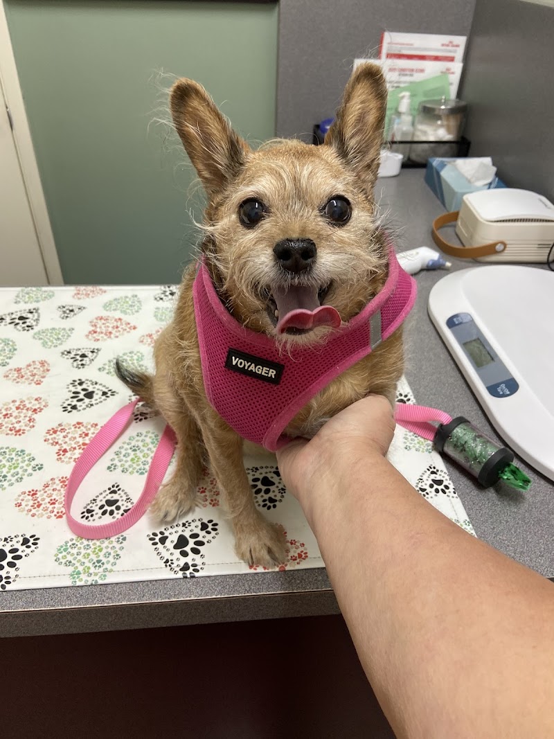 Evergreen Veterinary Clinic