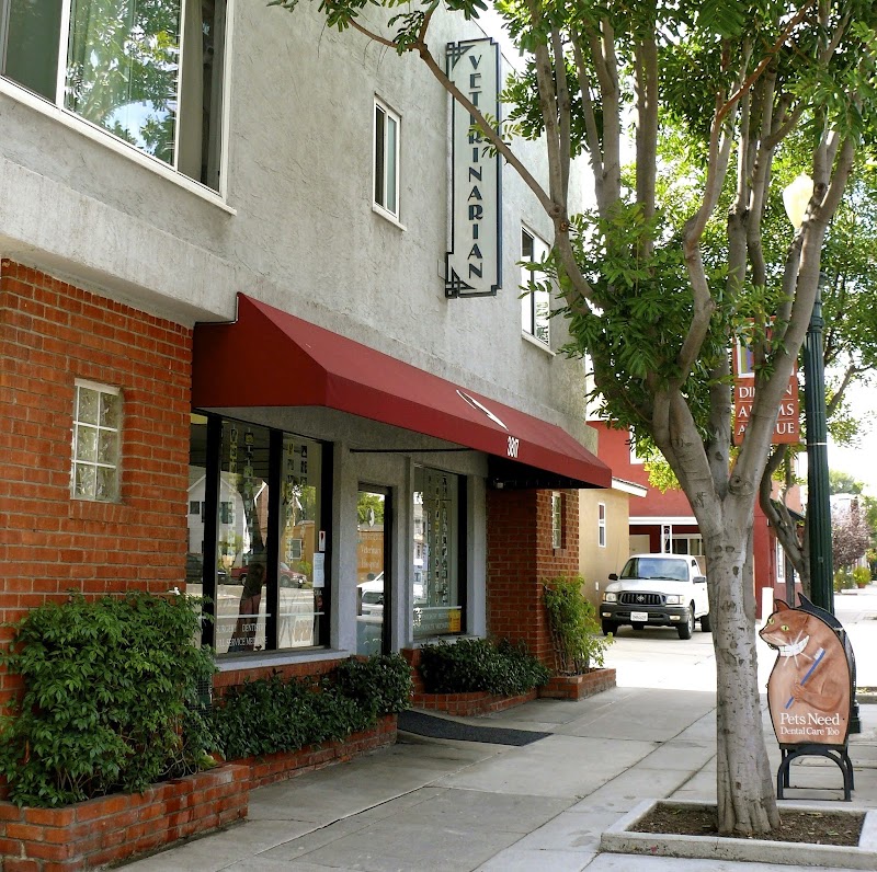 Kensington Veterinary Hospital