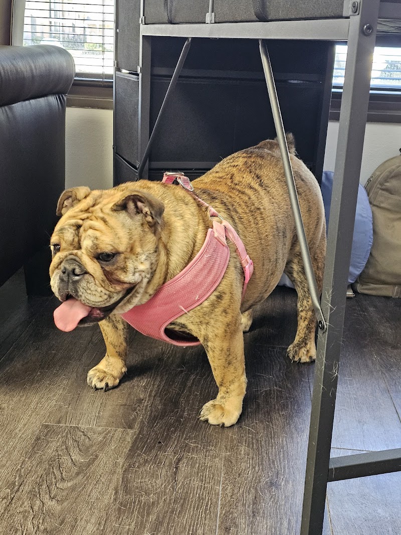 Eden's Holistic Veterinary Team