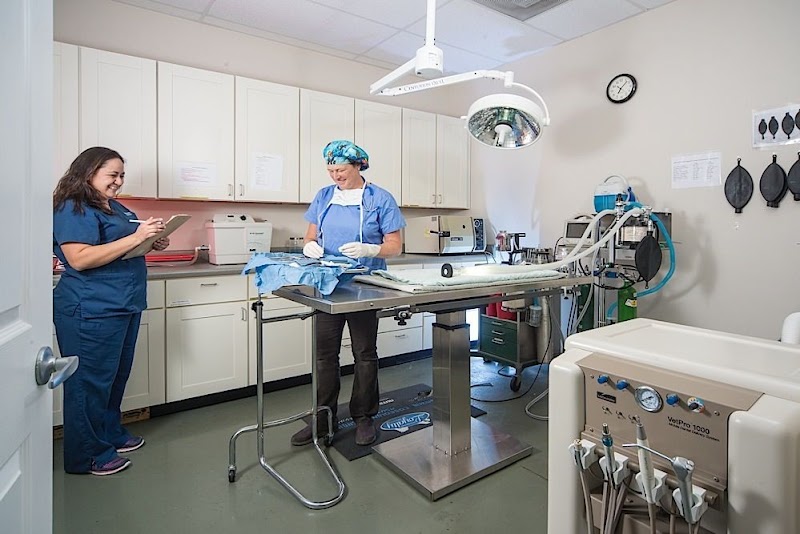 Culebra Creek Veterinary Hospital & Resort