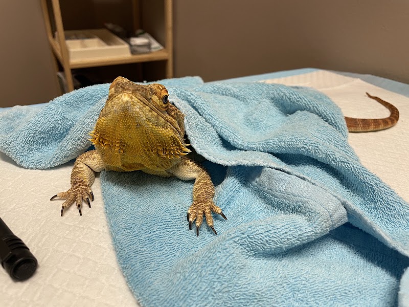 Avian and Exotic Veterinary Care