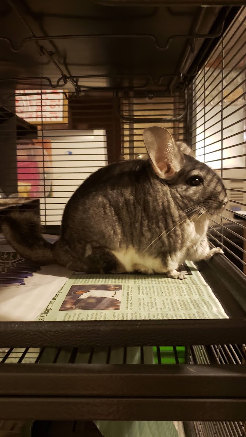 Avian and Exotic Veterinary Care - Portland