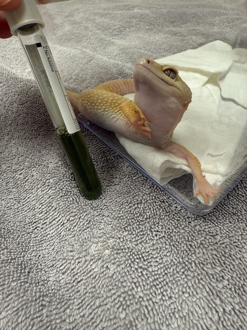 Avian and Exotic Veterinary Care