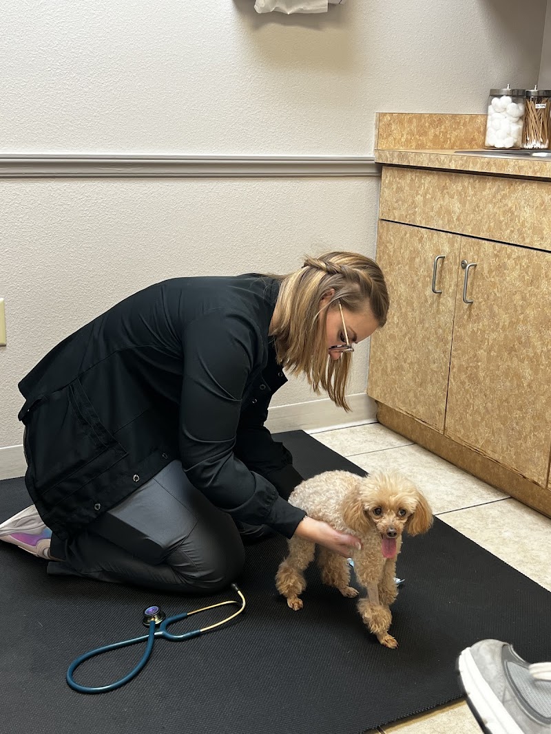Levine Veterinary Neurology