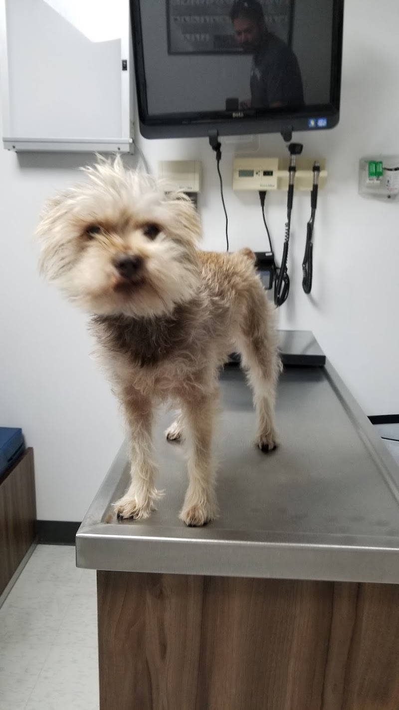 Vet Playas Veterinary Hospital