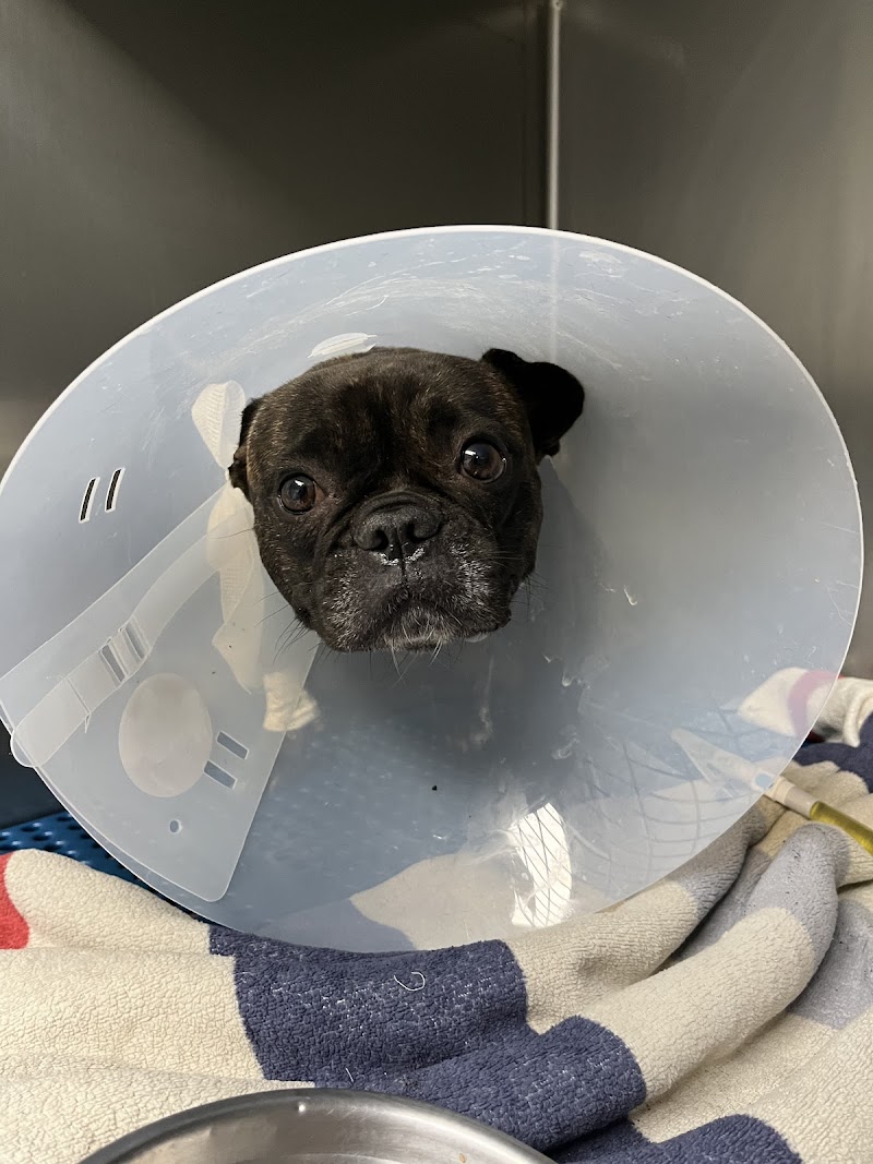 Vet Playas Veterinary Hospital