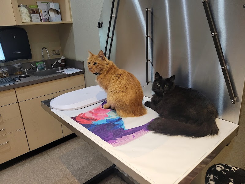 Overland Animal Hospital