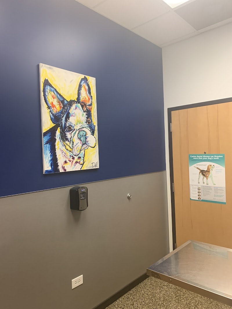 VCA Animal Care Center of Chicago