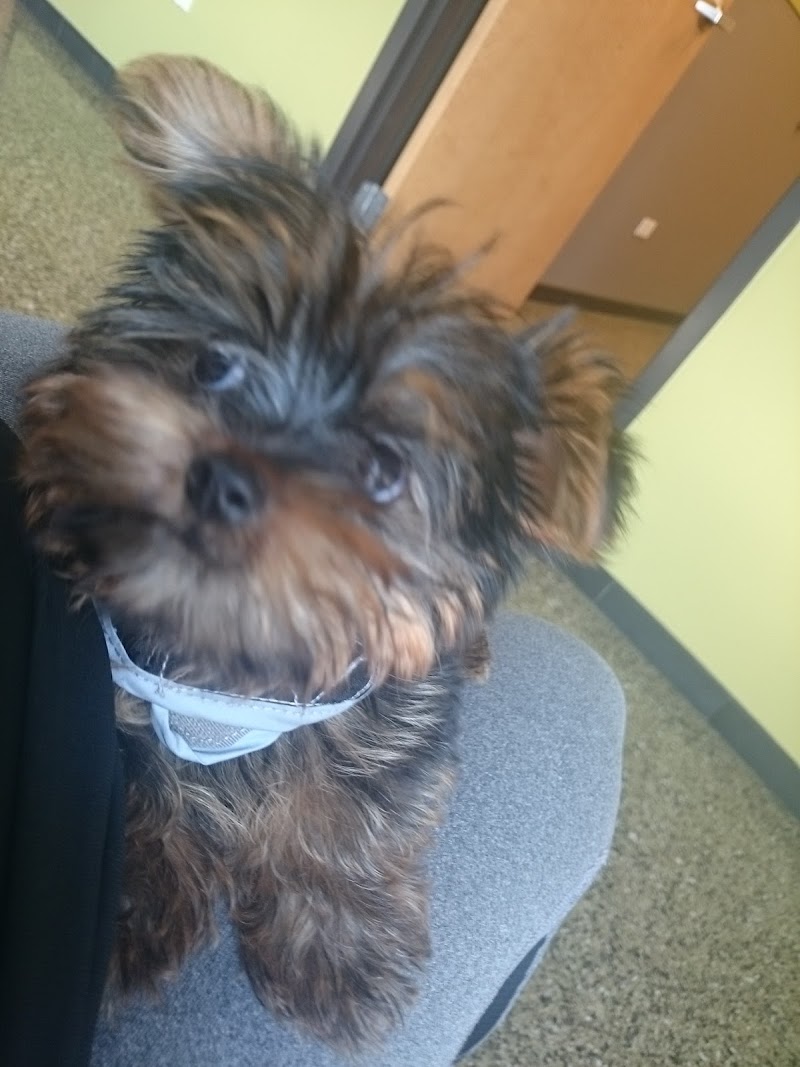 VCA Animal Care Center of Chicago