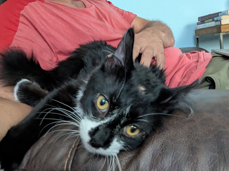 VCA Animal Referral and Emergency Center of Arizona