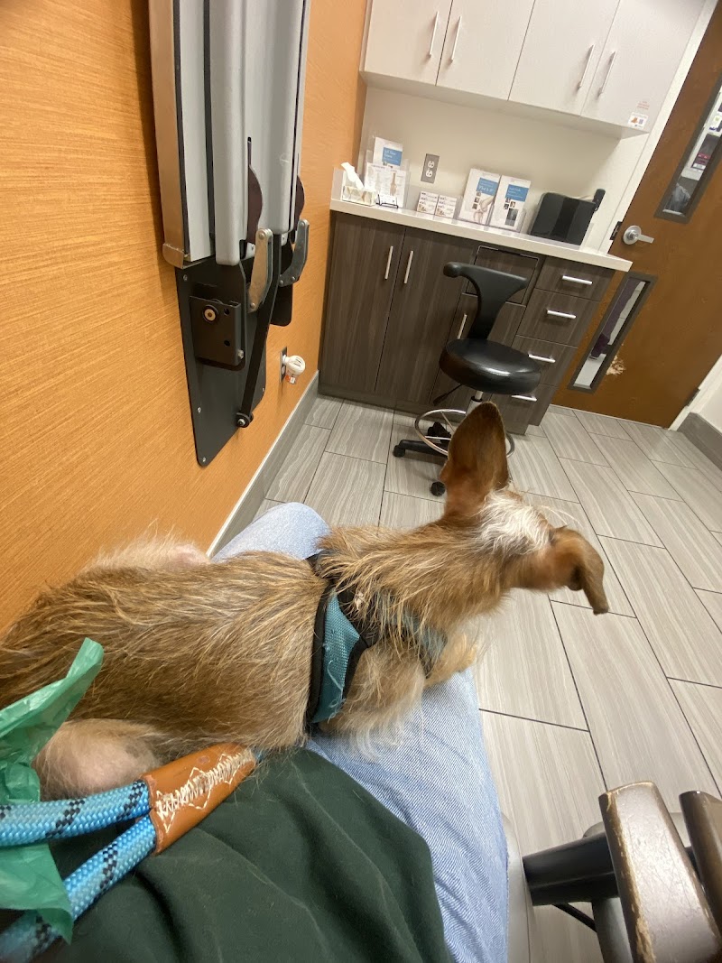 VCA Animal Referral and Emergency Center of Arizona