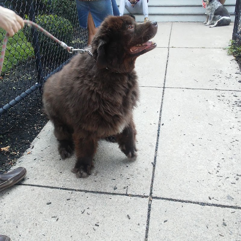 Merwin Memorial Free Clinic For Animals, Inc