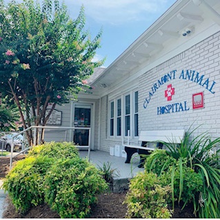 Clairmont Animal Hospital