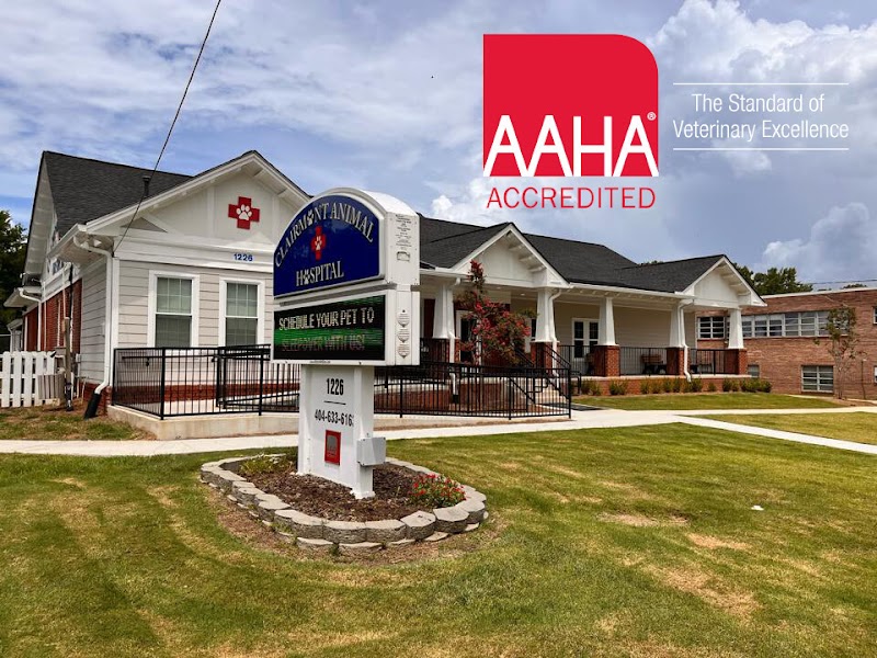 Clairmont Animal Hospital