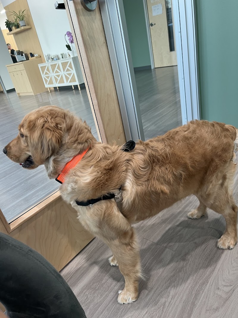 Honnas Veterinary