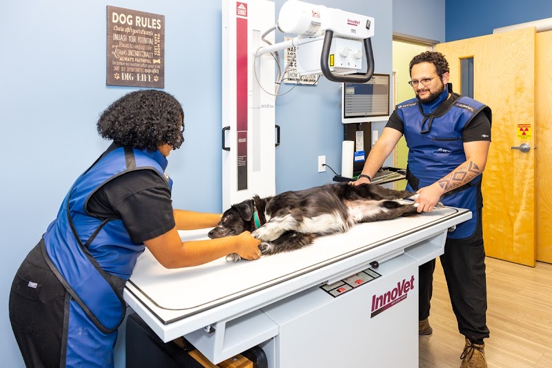 Honnas Veterinary