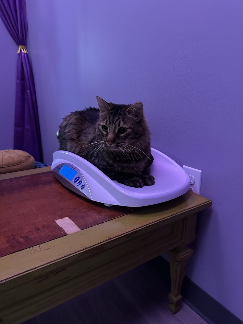 Honnas Veterinary