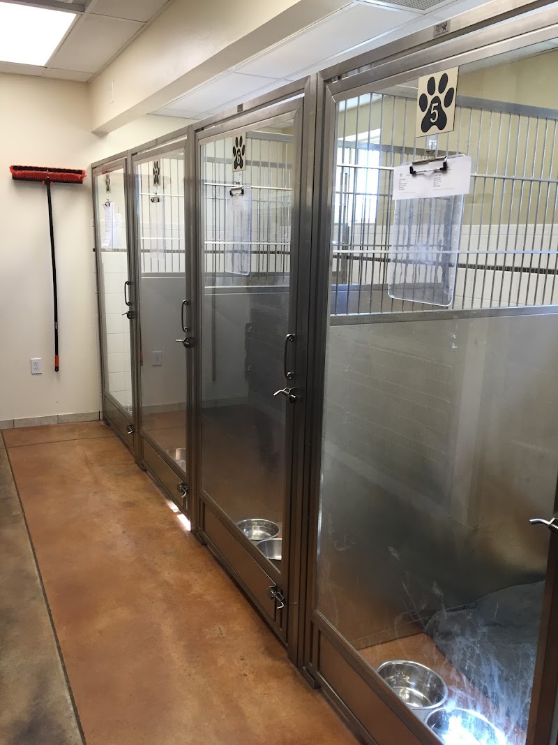 Capital Veterinary Clinic