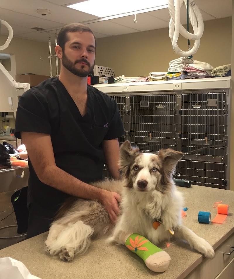 Capital Veterinary Clinic