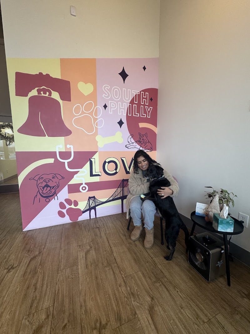 Love City Vet - South Philly