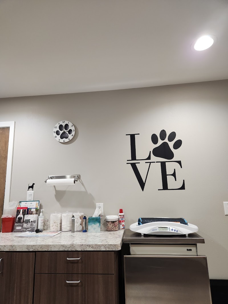 Four Paws at Fulshear Veterinary Clinic