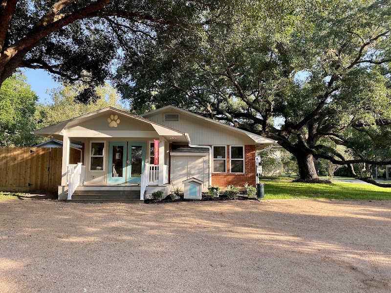 Four Paws at Fulshear Veterinary Clinic