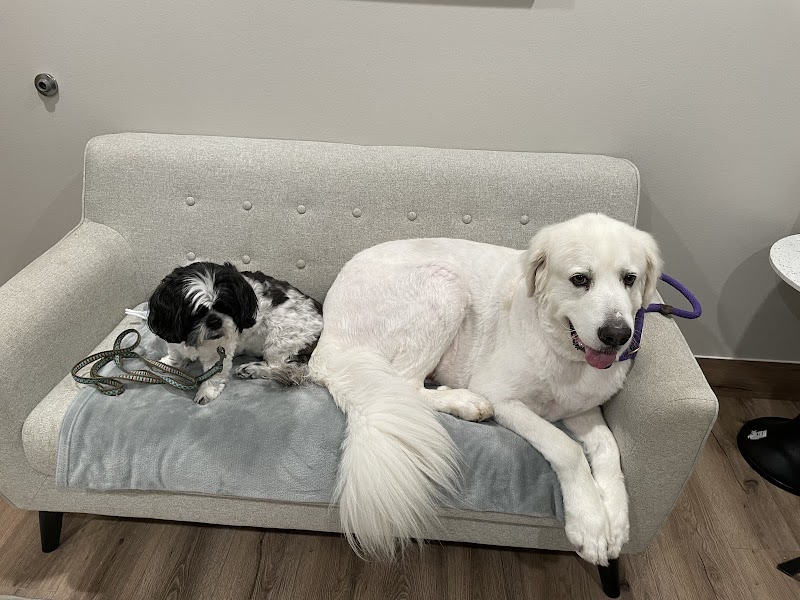 Four Paws at Fulshear Veterinary Clinic