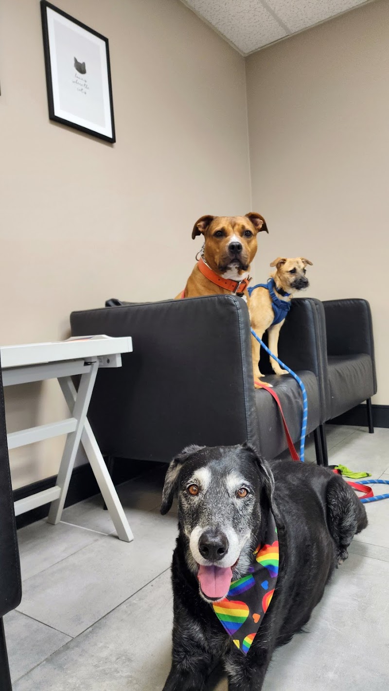 Cahuenga Veterinary Hospital