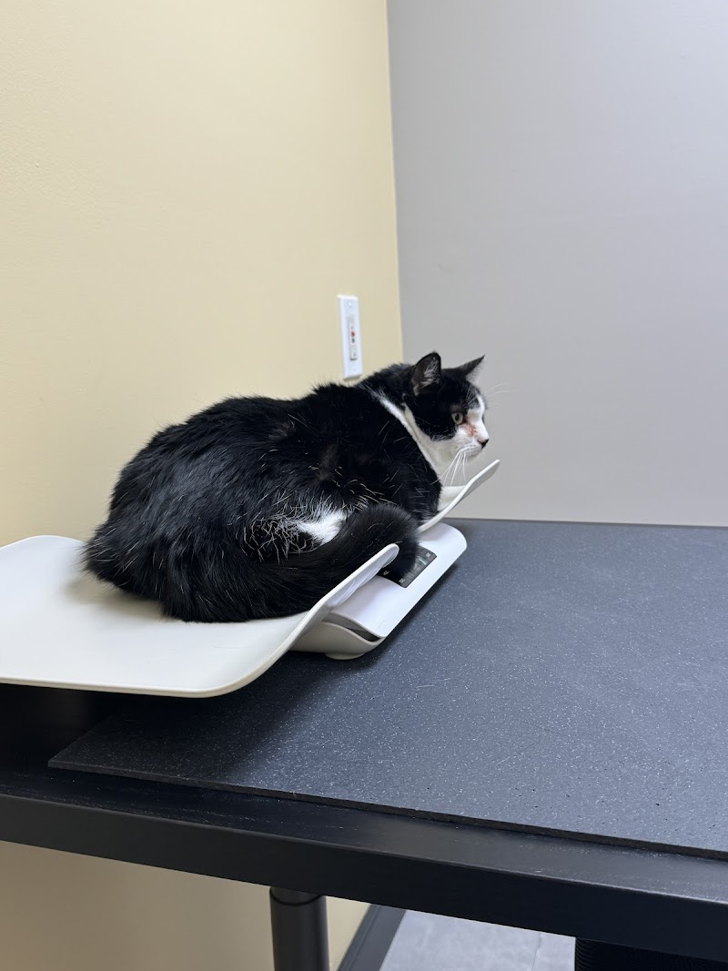 Cahuenga Veterinary Hospital
