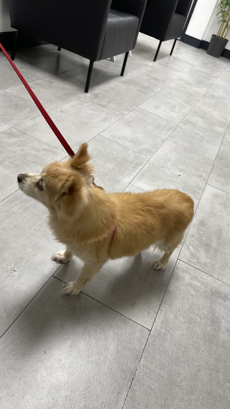 Cahuenga Veterinary Hospital