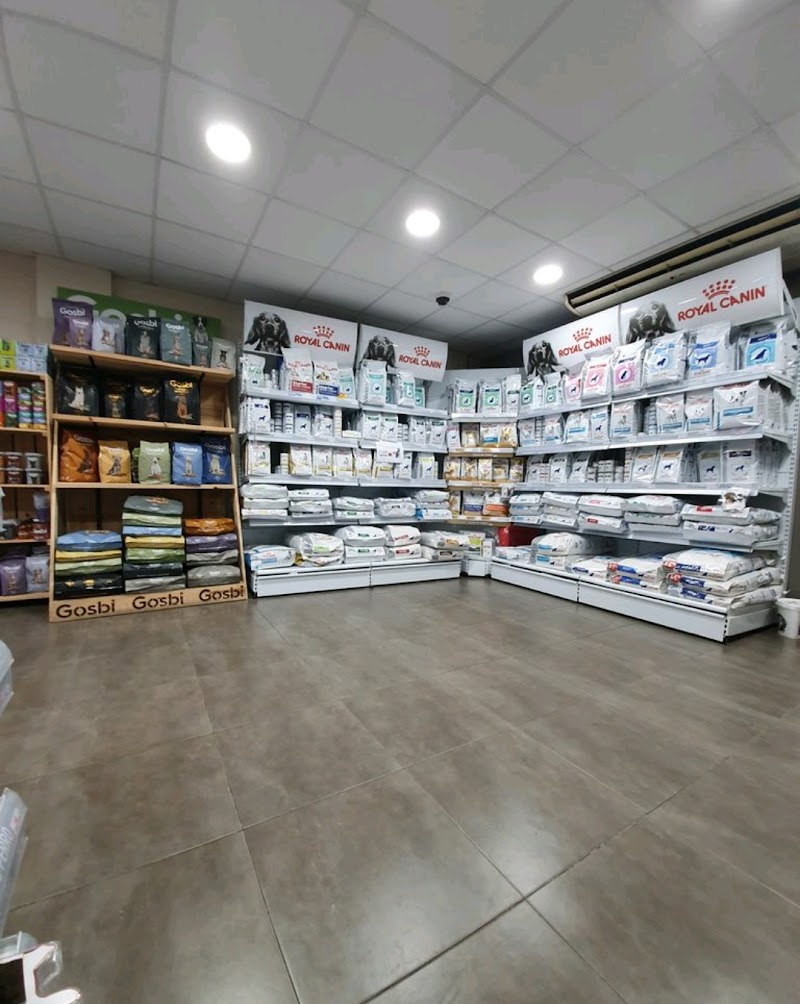 AniCura Vet's Avinguda Hospital Veterinari | Urgències 24h