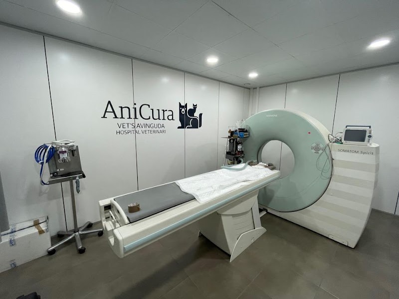 AniCura Vet's Avinguda Hospital Veterinari | Urgències 24h