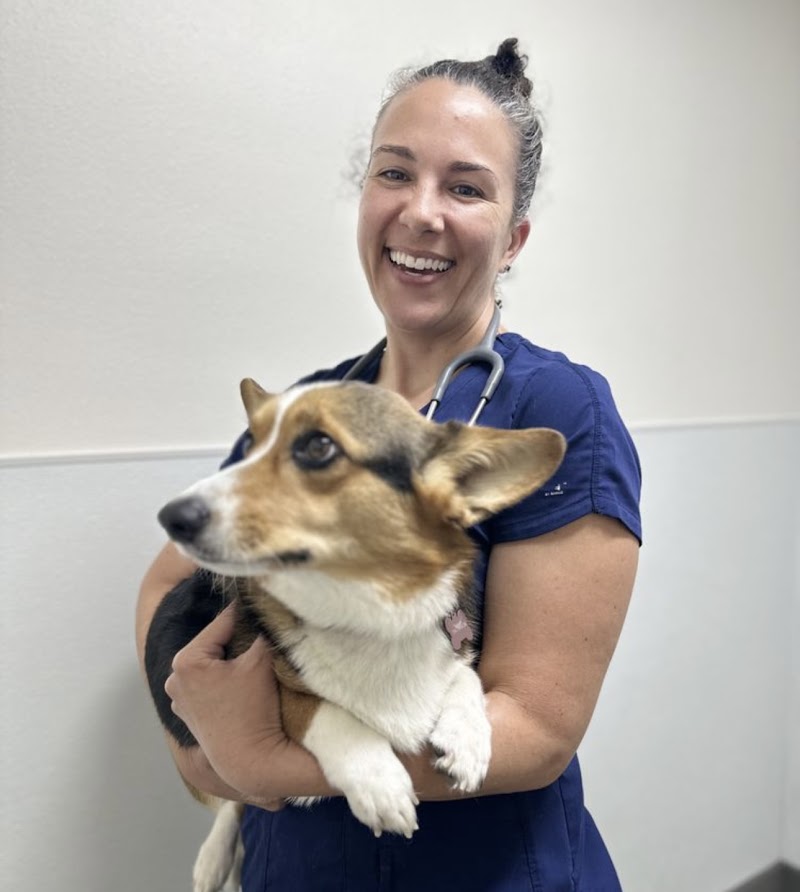 Rose Canyon Animal Hospital