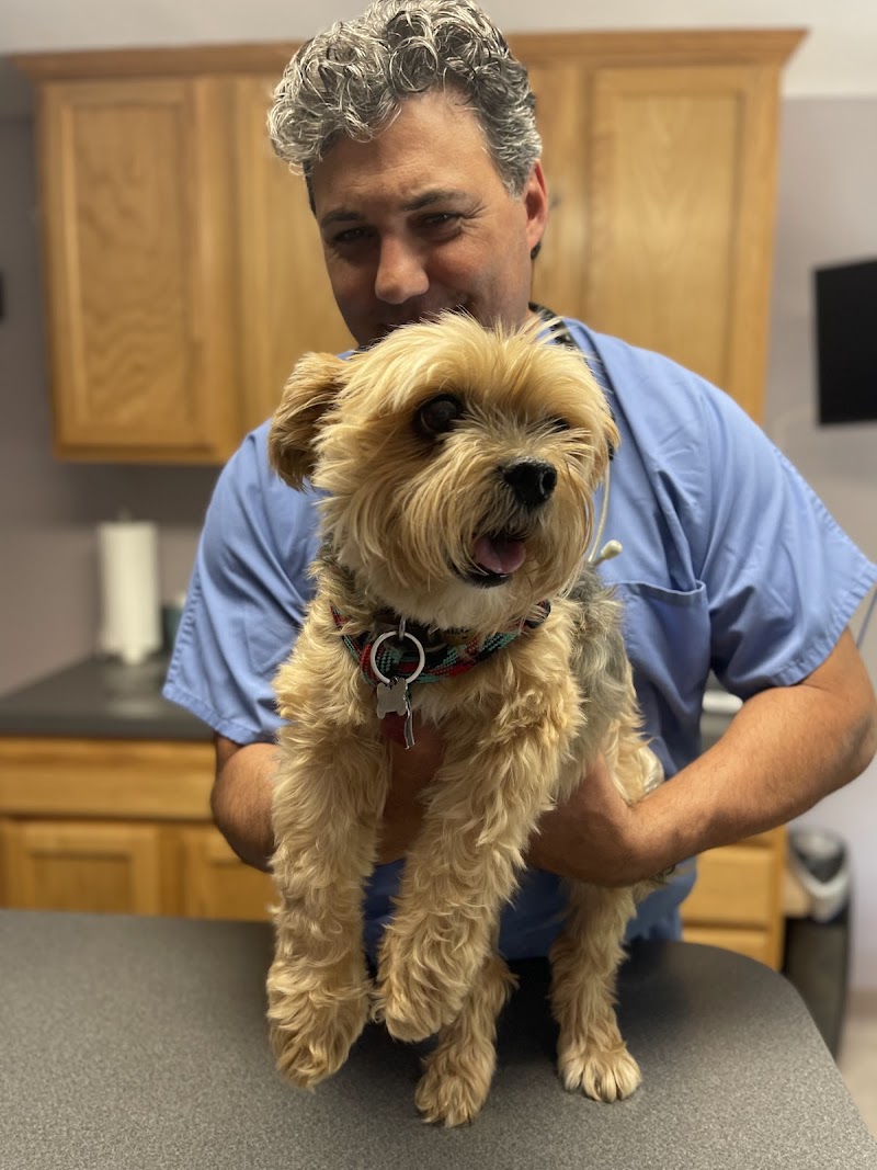 Veterinary Oncology Services