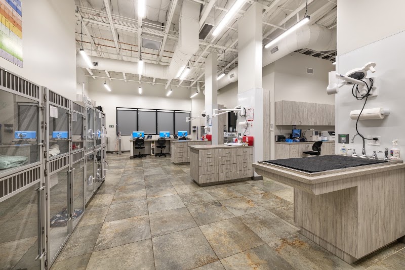 Gilbert Queen Creek Emergency Veterinarian & Pet Urgent Care