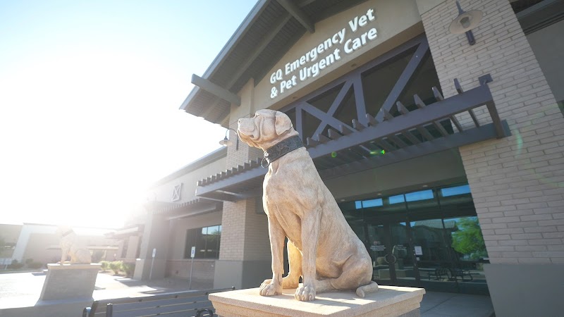 Gilbert Queen Creek Emergency Veterinarian & Pet Urgent Care