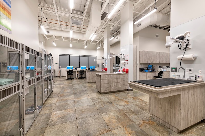 Gilbert Queen Creek Emergency Veterinarian & Pet Urgent Care