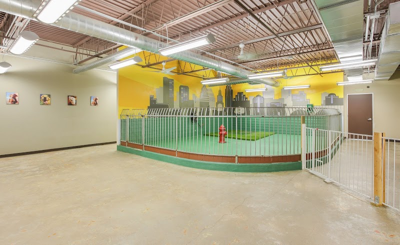 Austin Urban Veterinary Center