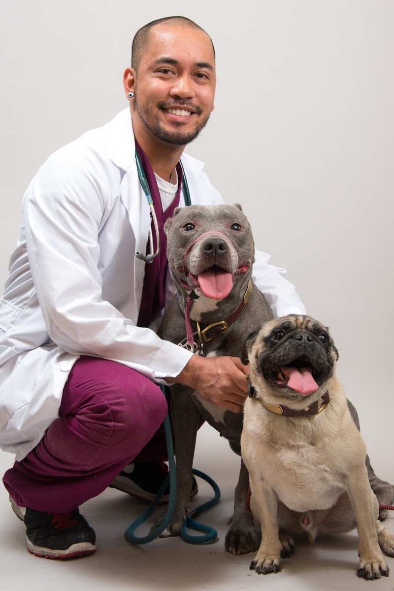 The Scottsdale Veterinary Clinic